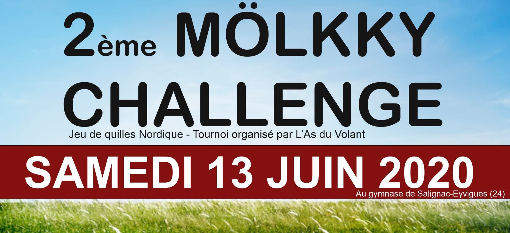 Mölkky Challenge