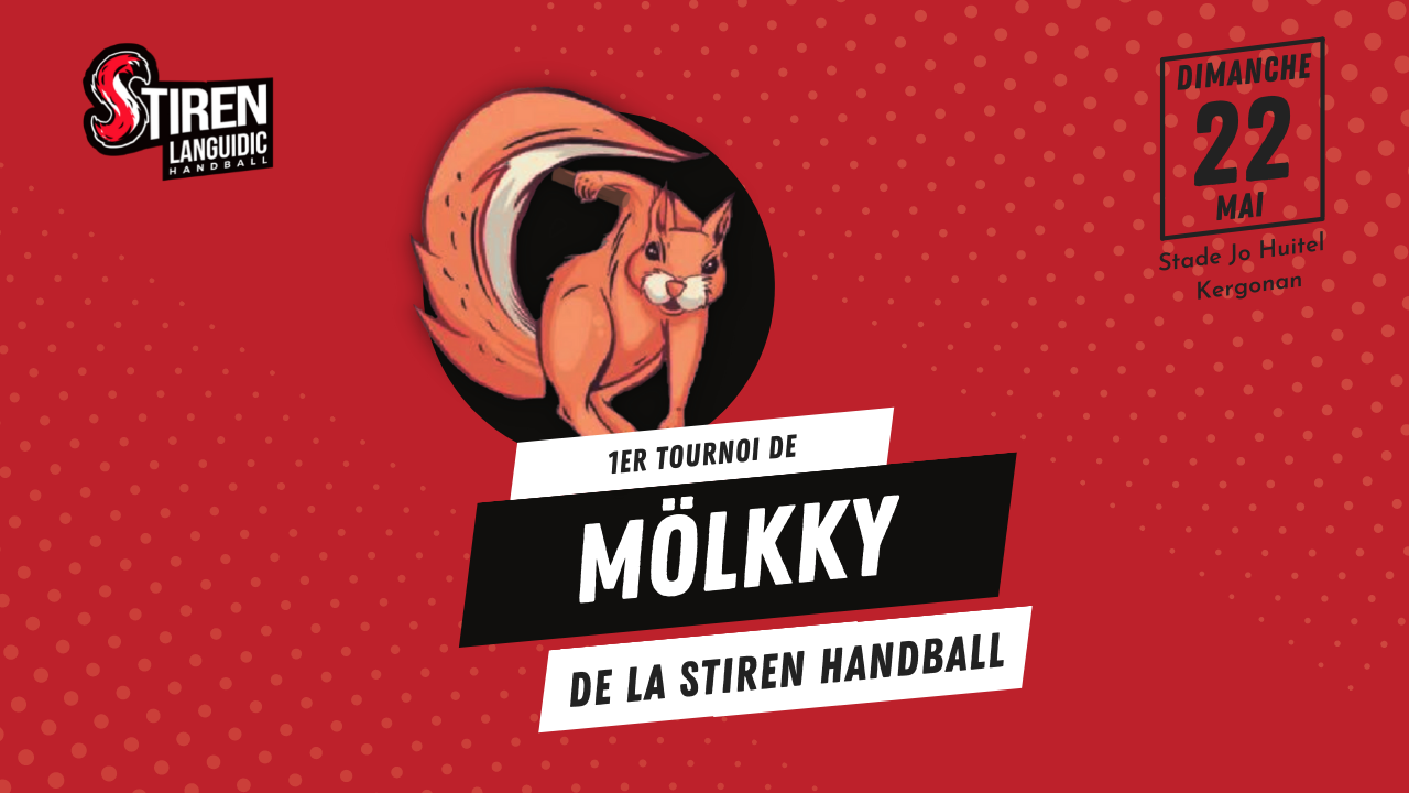 Tournoi du Stiren Languidic Handball