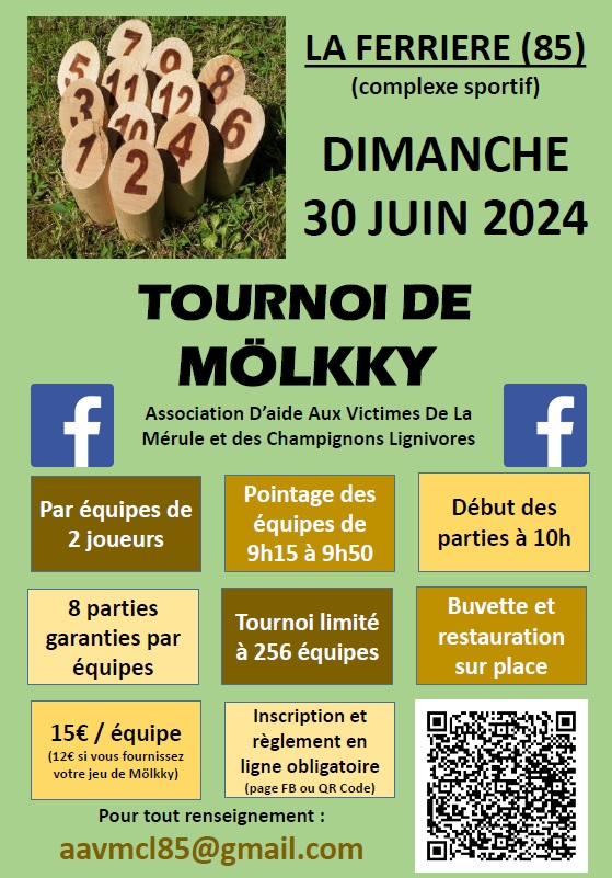 Tournoi de La Ferrière